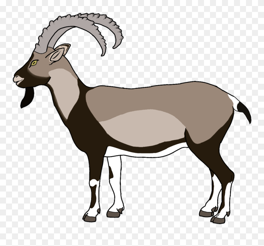 Holy Week Drawing - Goat Clipart