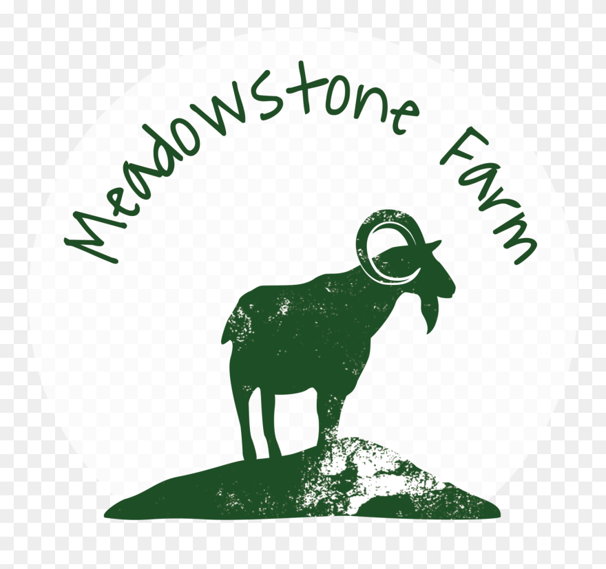 Pastured Animals Meadowstone Farm - Meadowstone Farm Clipart