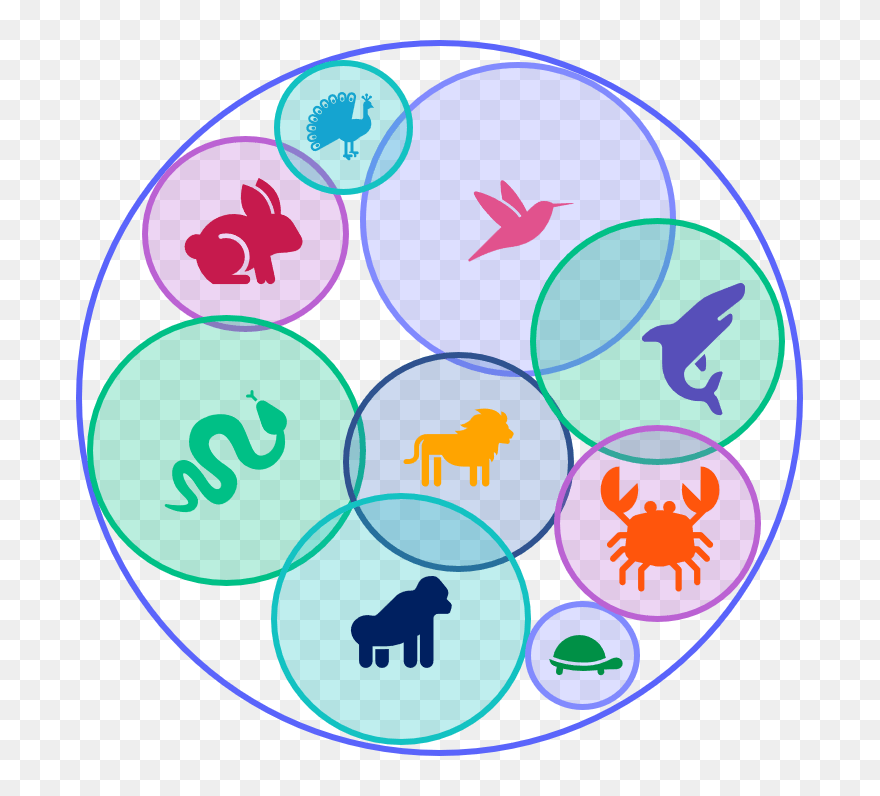 Clip Art - Png Download