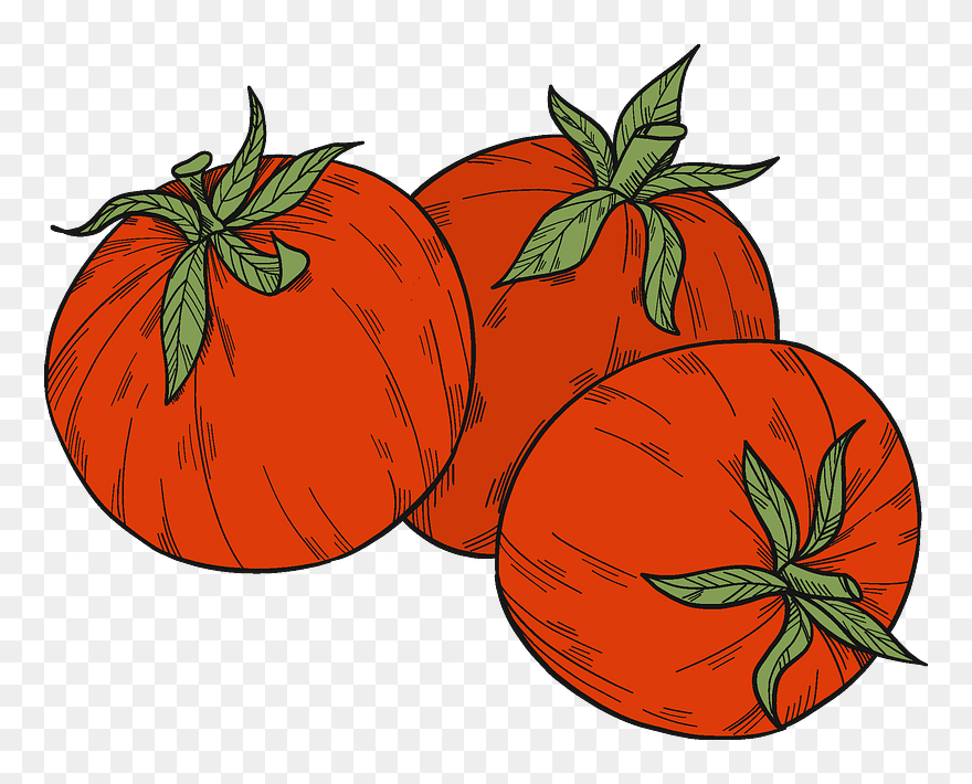 Tomatoes Clipart - Tomato - Png Download