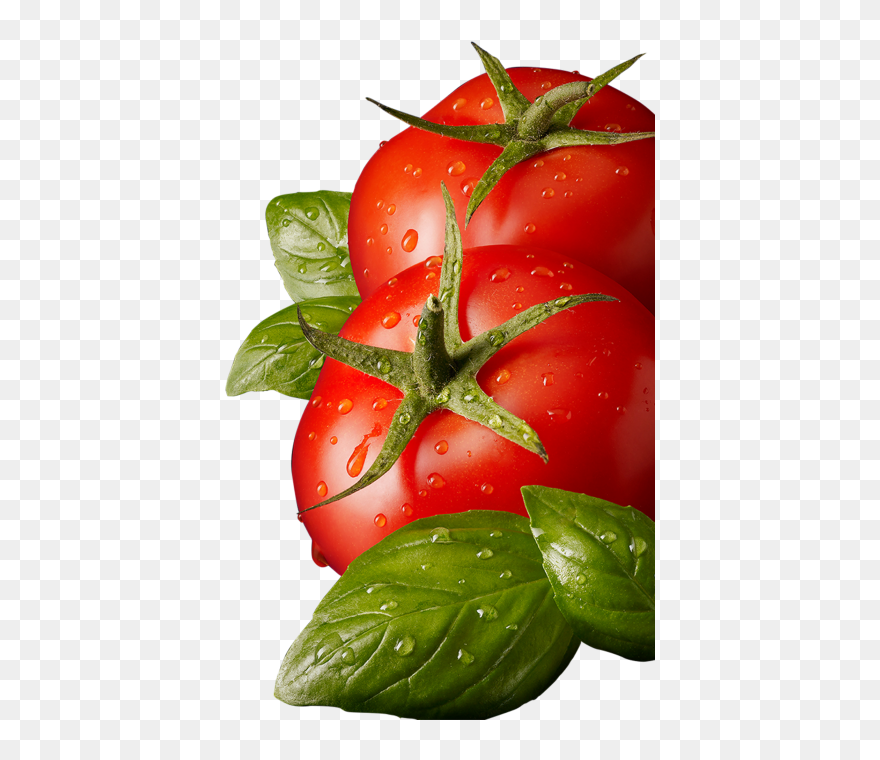Tomato Png Clipart