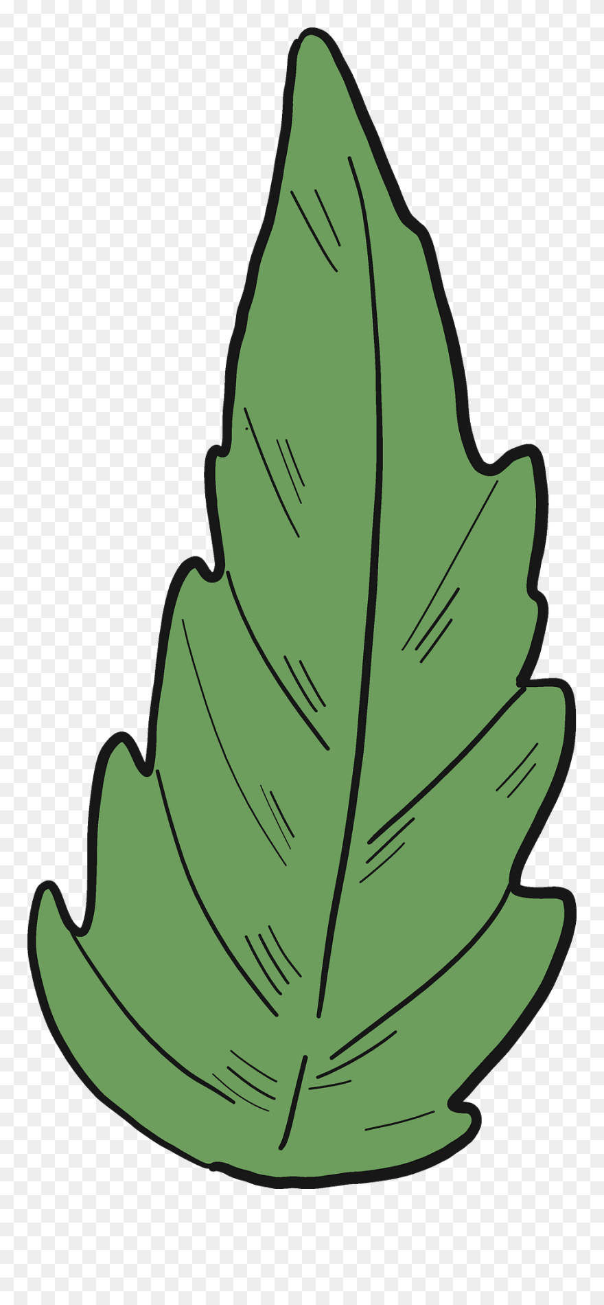 Clip Art - Png Download