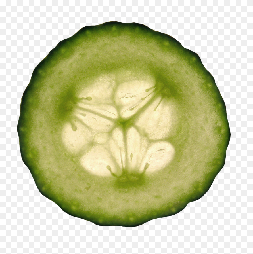 Cucumber Slice Clipart - Cucumber - Png Download