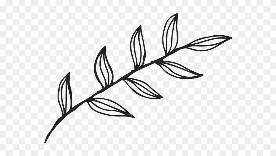 Leaf Outline Transparent Clipart