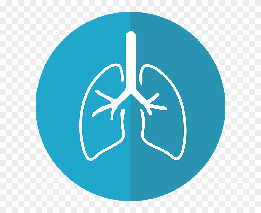 Follow Our Blog For Lung Cancer Awareness Month - Upper Respiratory Tract Infection Icon Clipart