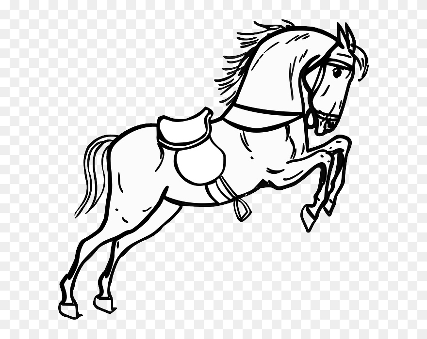 Horse, Jumping, Standing, Animal, Outline, Contour - Black And White Horse Clipart - Png Download