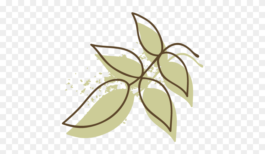 Clip Art - Png Download