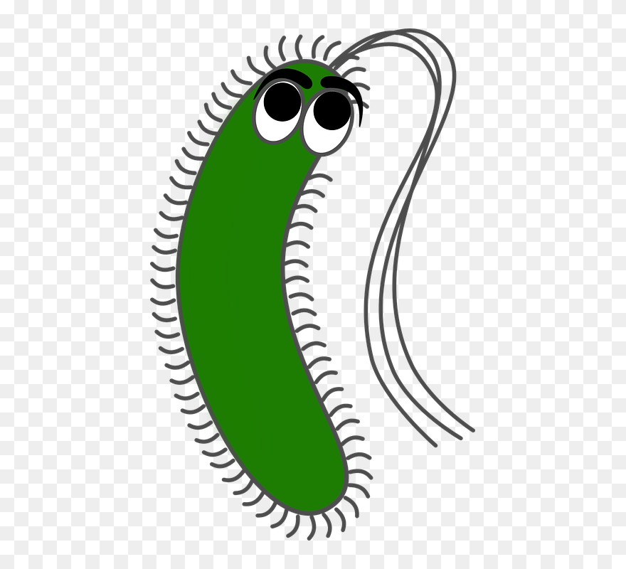 Transparent Disease Clipart - Gram Negative Bacteria Cartoon - Png Download