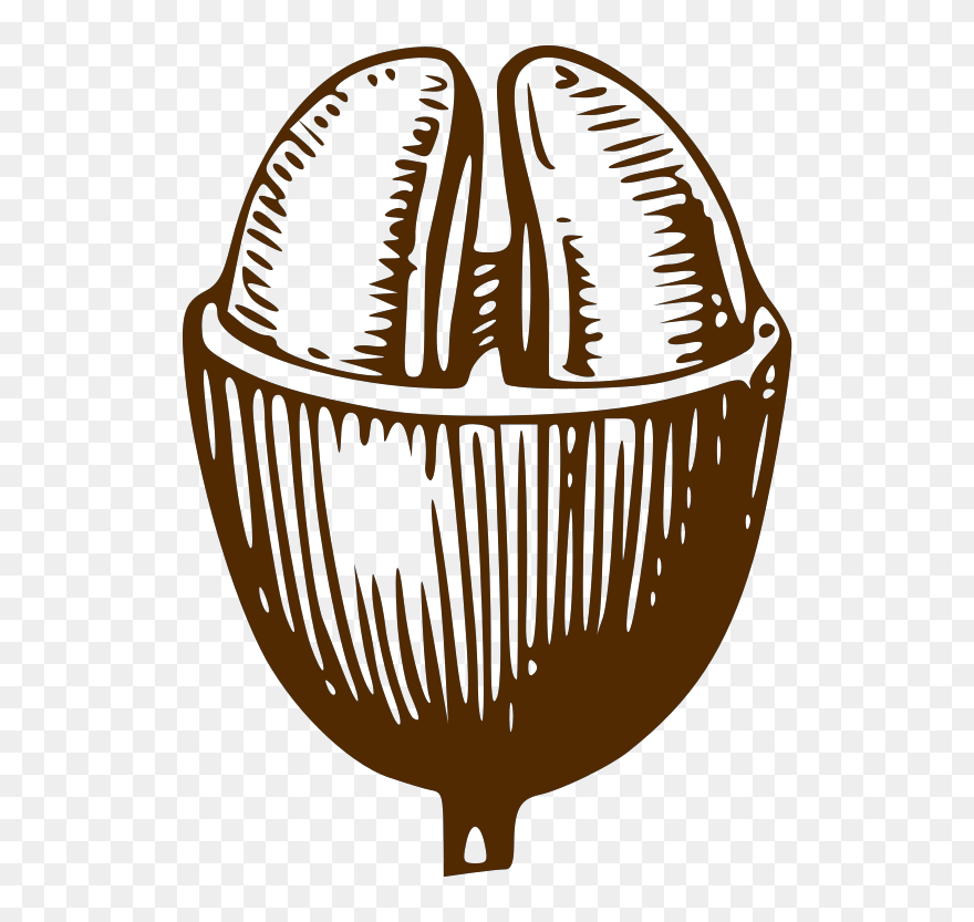 Coffee Bean Clipart