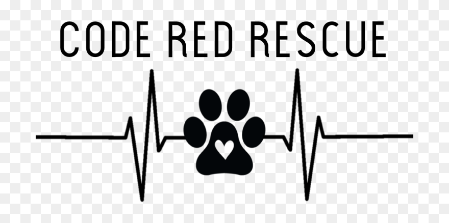 Graphic Design Clipart