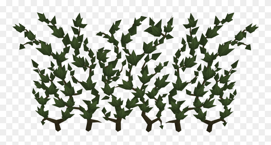 The Runescape Wiki - Runescape Ivy Clipart