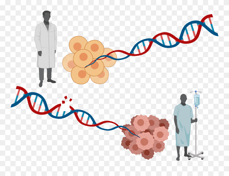 Featured Article Image - Illustration Clipart