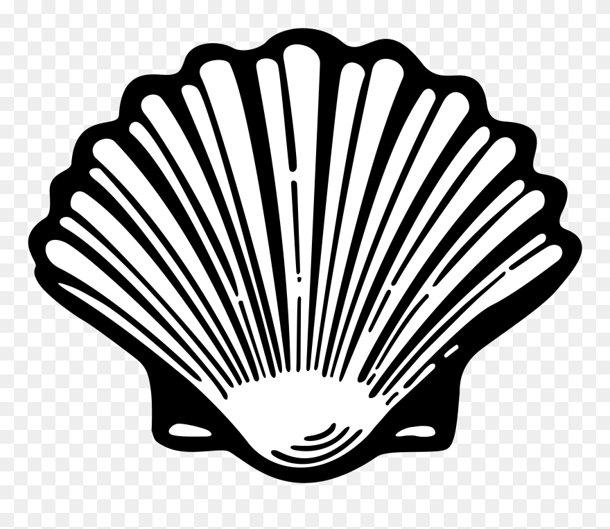 Shell Png Black And White Clipart