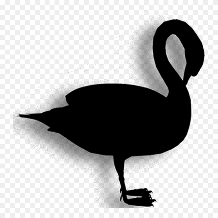 Duck Goose Clip Art Fauna Silhouette - Black Swan - Png Download