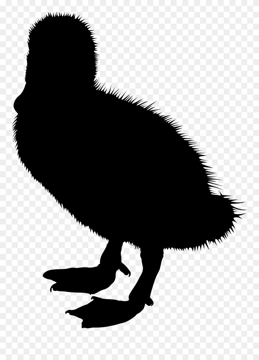 Gif Ducks, Geese And Swans Clip Art Image Black - Illustration - Png Download