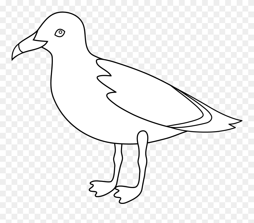 Seagull Line Art - Seagull Fave Drawing Clipart
