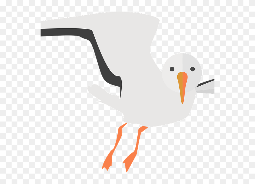 Seagull Illustration Png - Möwe Clipart Transparent Png
