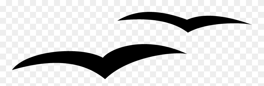 Drawn Seagull Free Clip Art - Seagull Clipart Black And White - Png Download