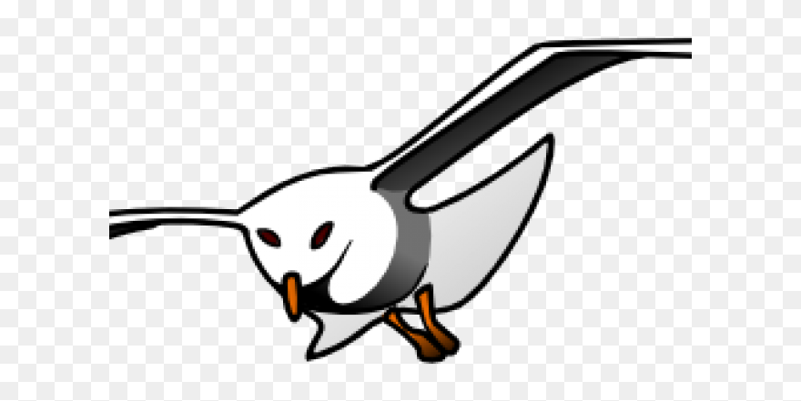 Seagull Stencil - Cute Seagull Clipart Black And White - Png Download