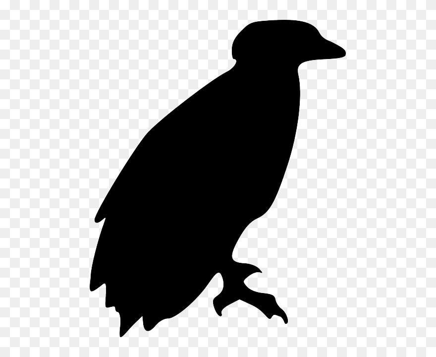 Eagle, Bird, Animal, Perching, Silhouette - Clip Art - Png Download