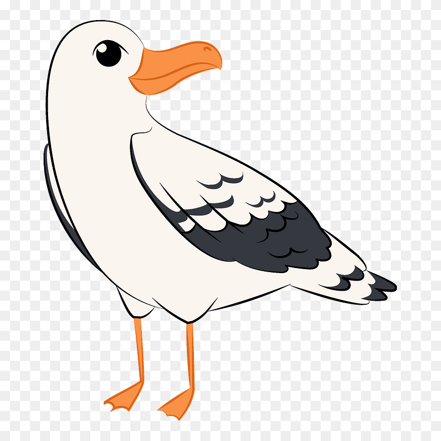 Seagull Clipart - Seabird - Png Download