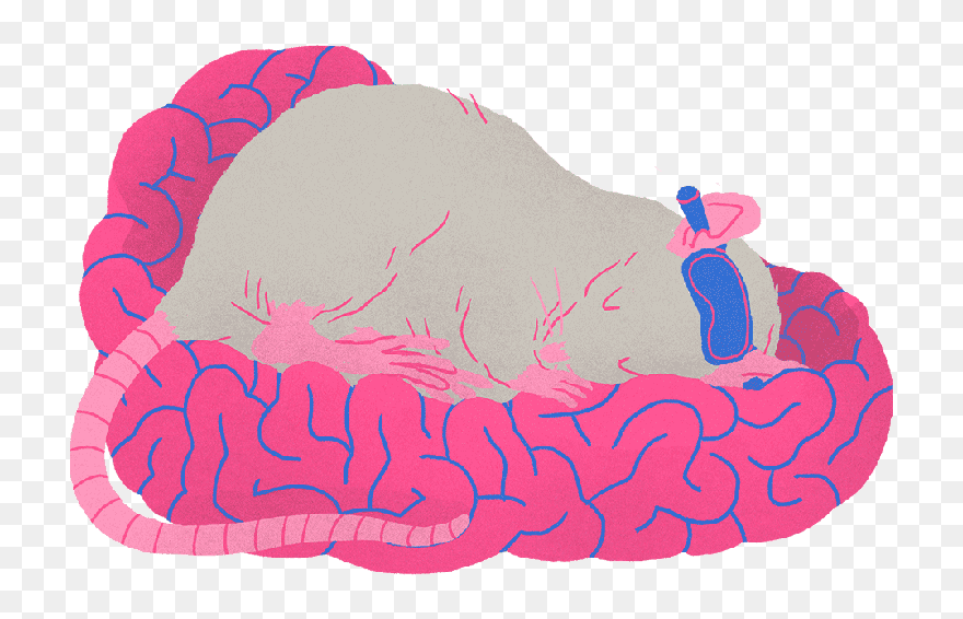 Illustration Clipart