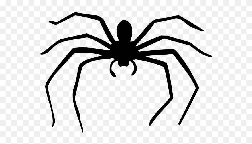 Spider Web Silhouette Drawing - Dessin D Araignée A Imprimer Clipart