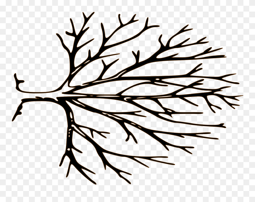 Sideways Clipart - Png Download