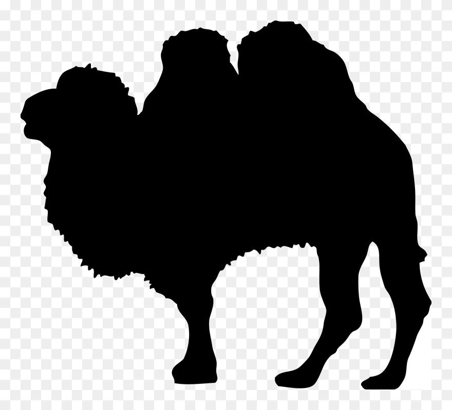 Camel Silhouette Wildlife Clip Art - Clip Art - Png Download