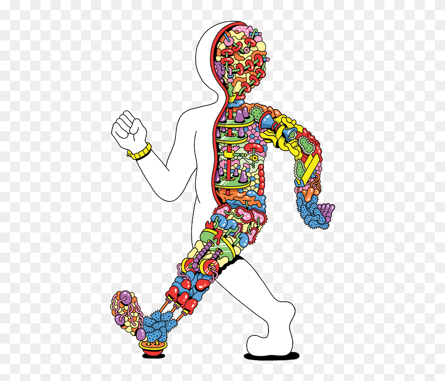Micro Dude - Digestive System Funny Clipart - Png Download