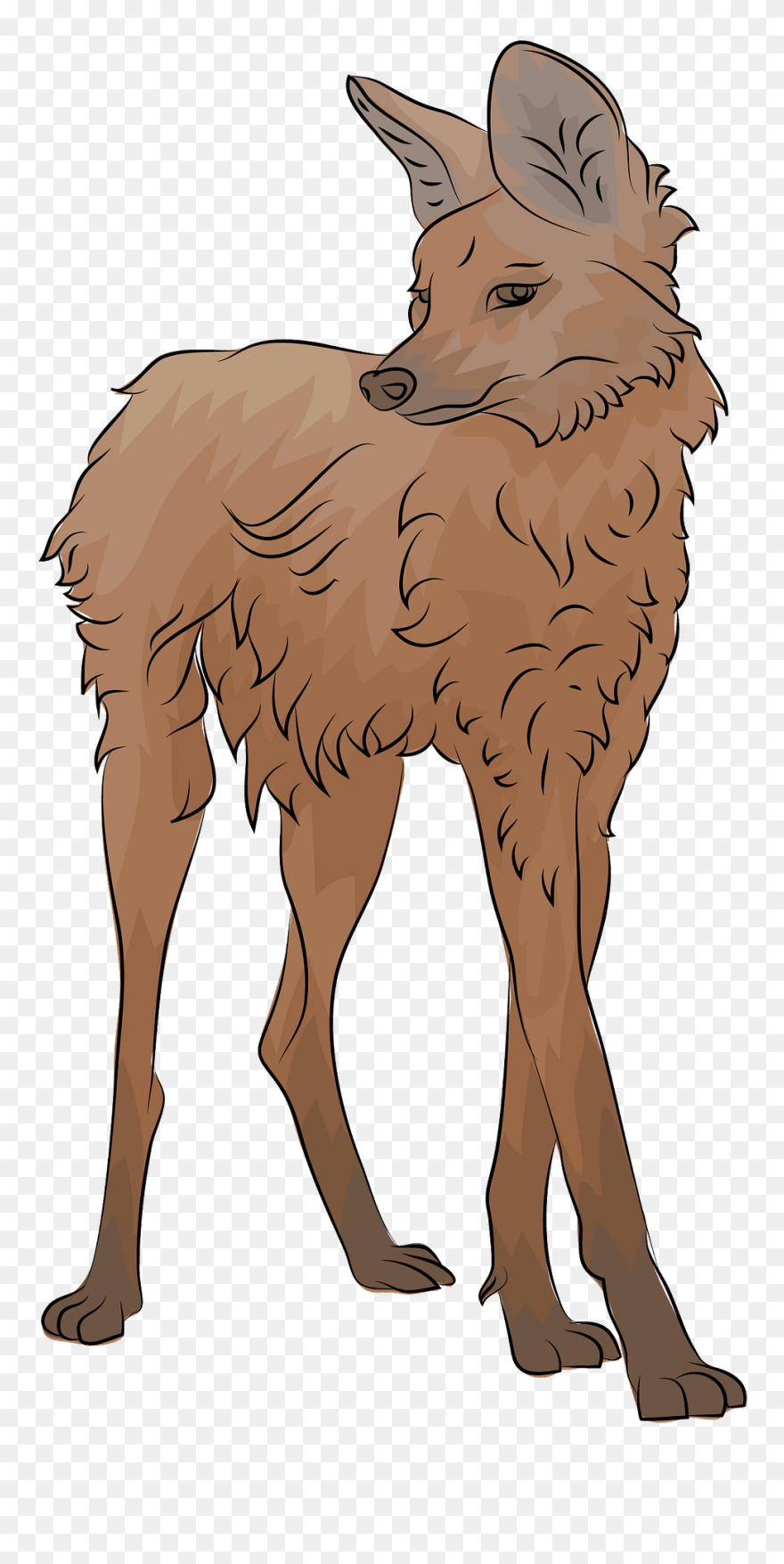 Animado Aguara Guazu Dibujo Clipart