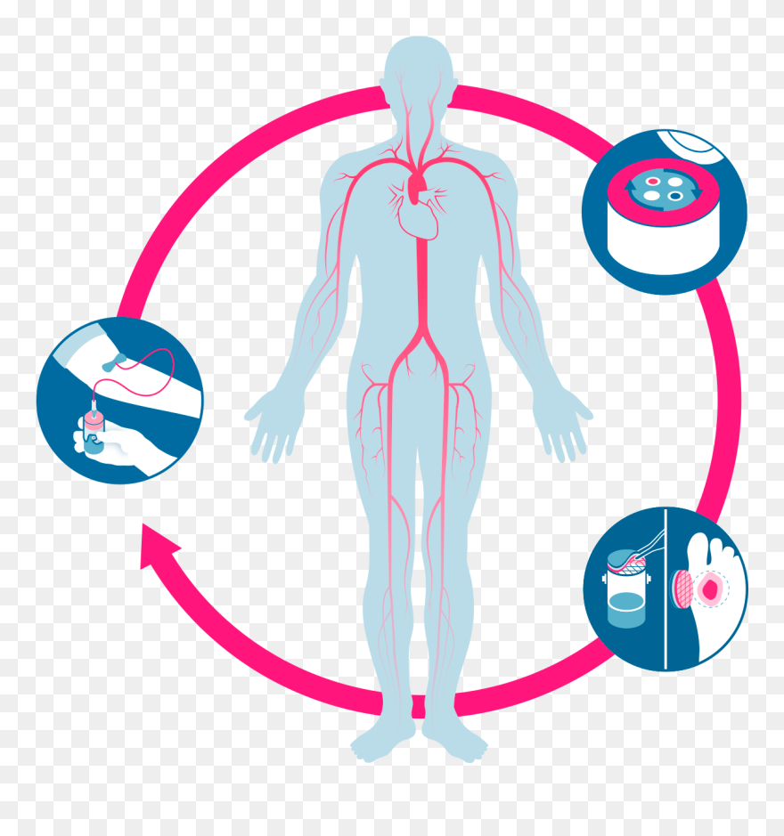 Healing Clipart Wound Care - Png Download