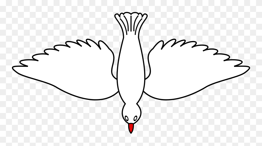 Vector Doves In Flight - Dove Bird Flying Down Clipart