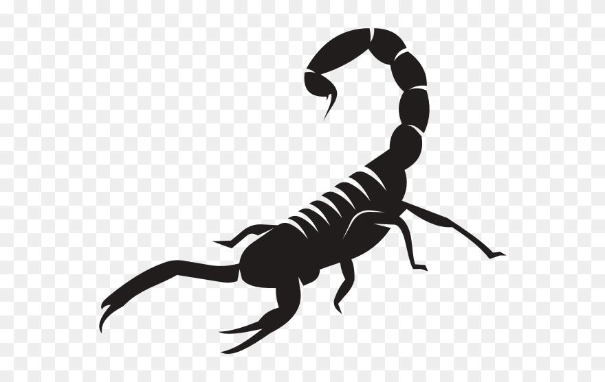 Scorpion Silhouette Clip Art-1576774256 - Scorpions - Png Download