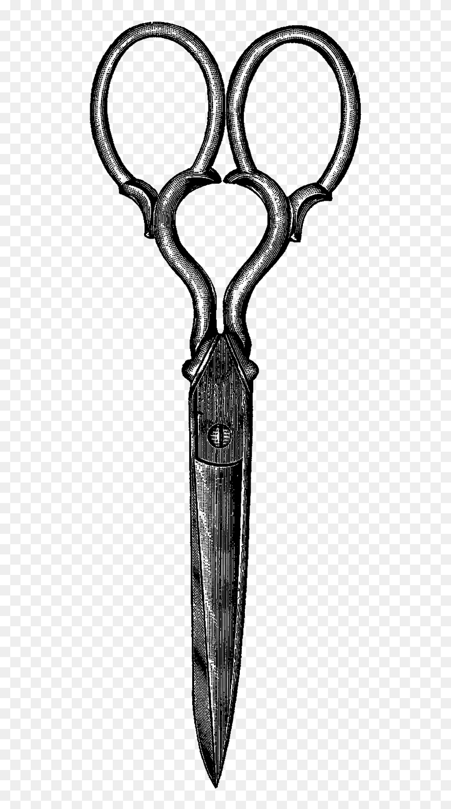 Scissors Vintage Illustration - Sketch Clipart