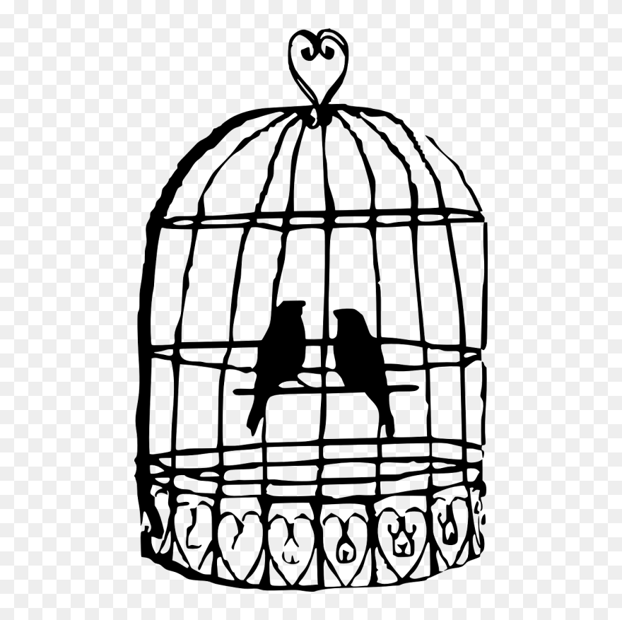 Download Birds Caged Cage Draw A Bird Cage Clipart (5613077