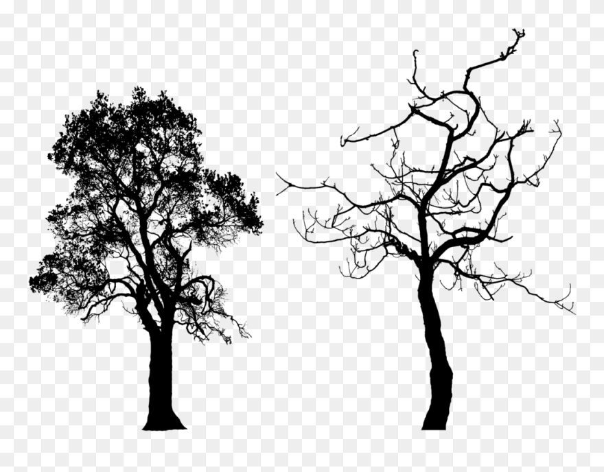 Bare Tree Silhouette Png Download - Tree Silhouette Free Clipart