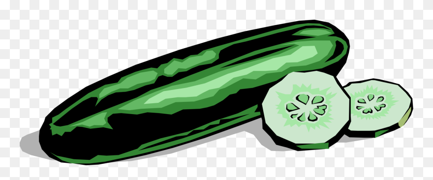 Vector Illustration Of Culinary Edible Vegetable Cucumber - Cucumber Clipart - Png Download