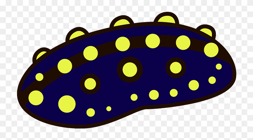 Sea Cucumber Animal Clipart - ナマコ イラスト - Png Download