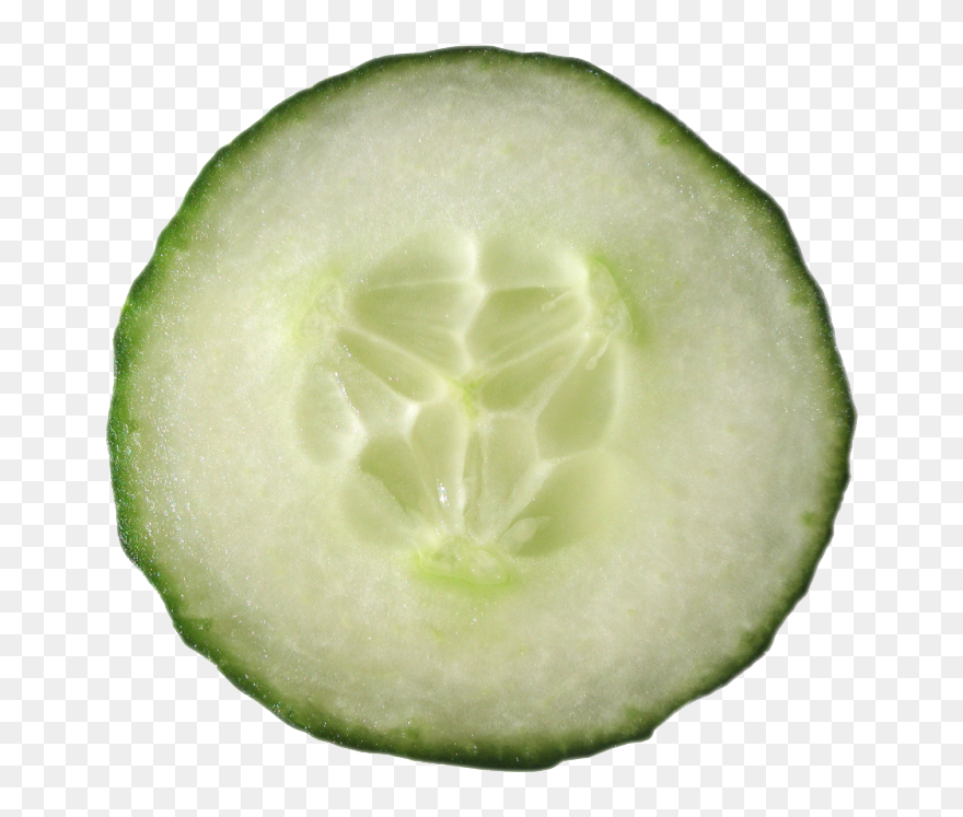 Cucumber Slice Png Clipart