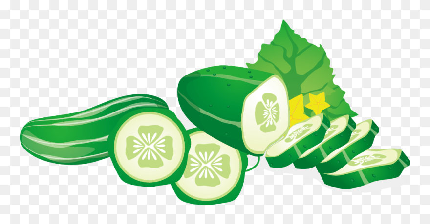 Cucumber Vegetable Euclidean Vector Fruit - Cucumber Clipart