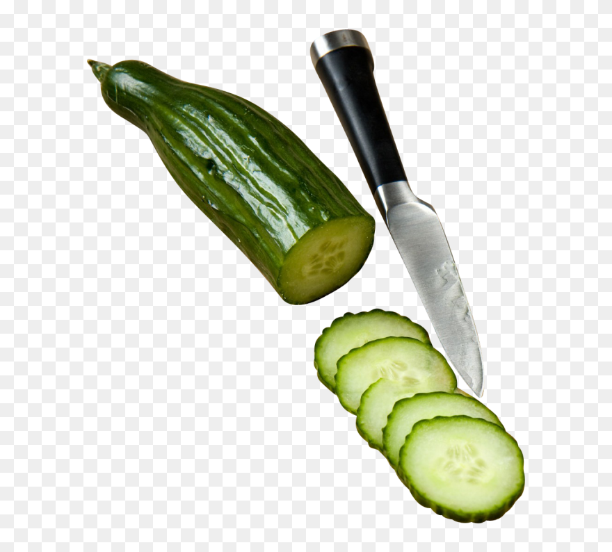 Cucumber In Slices Png Image - خيار مقطع Clipart
