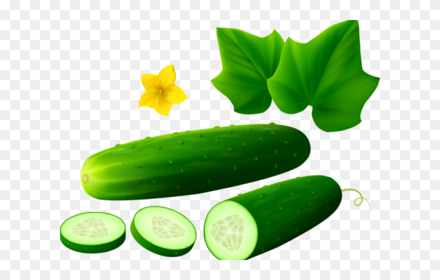 Transparent Cucumber Clipart - Cucumber Clipart White Background - Png Download