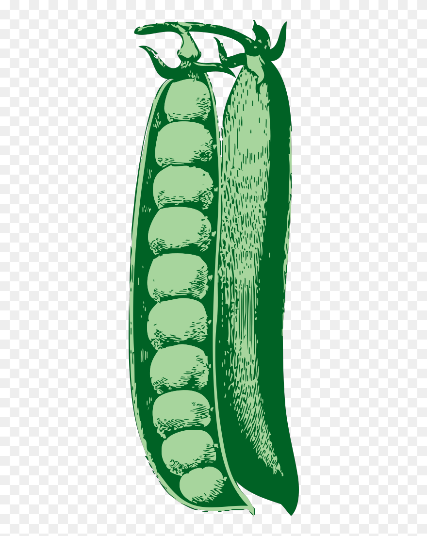 Peasant Hat Svg Clip Arts - Cartoon Peas - Png Download