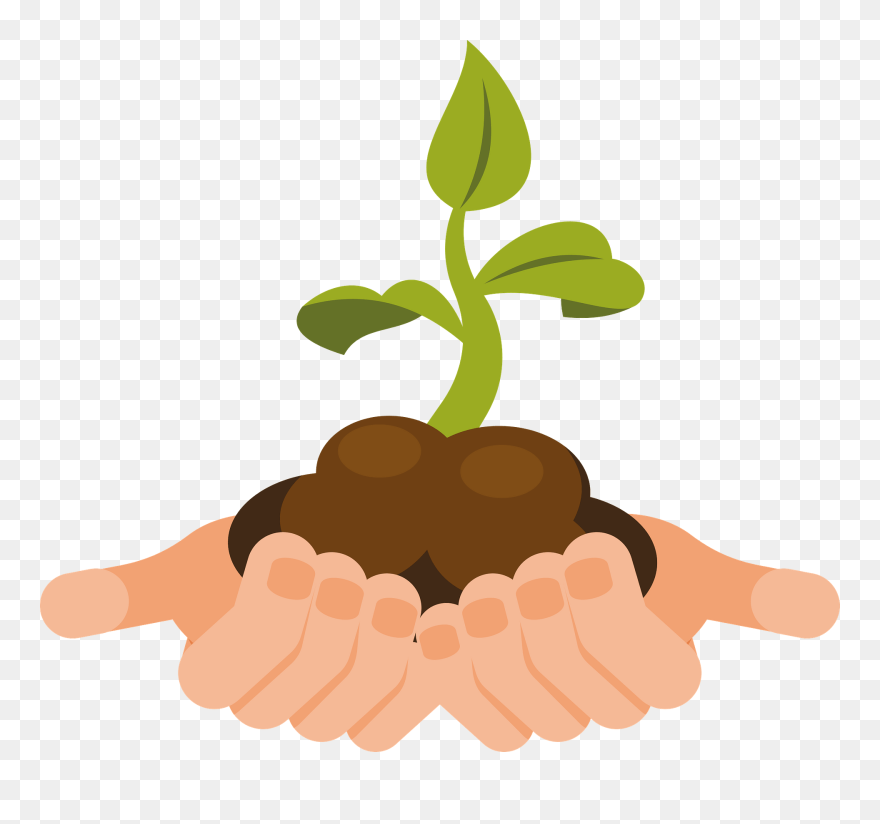 Plant Clipart - Png Download