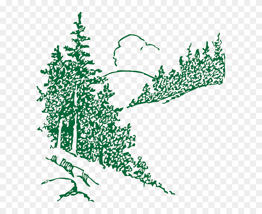 Free Cloud, Outline, Mountain, Plants, Tree, Landscape, - Pine Forest Black And White Clip Art - Png Download