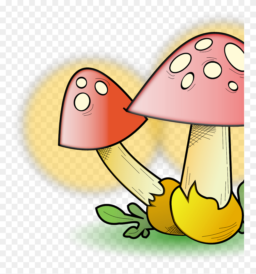 Fungi Clipart Png Transparent Png