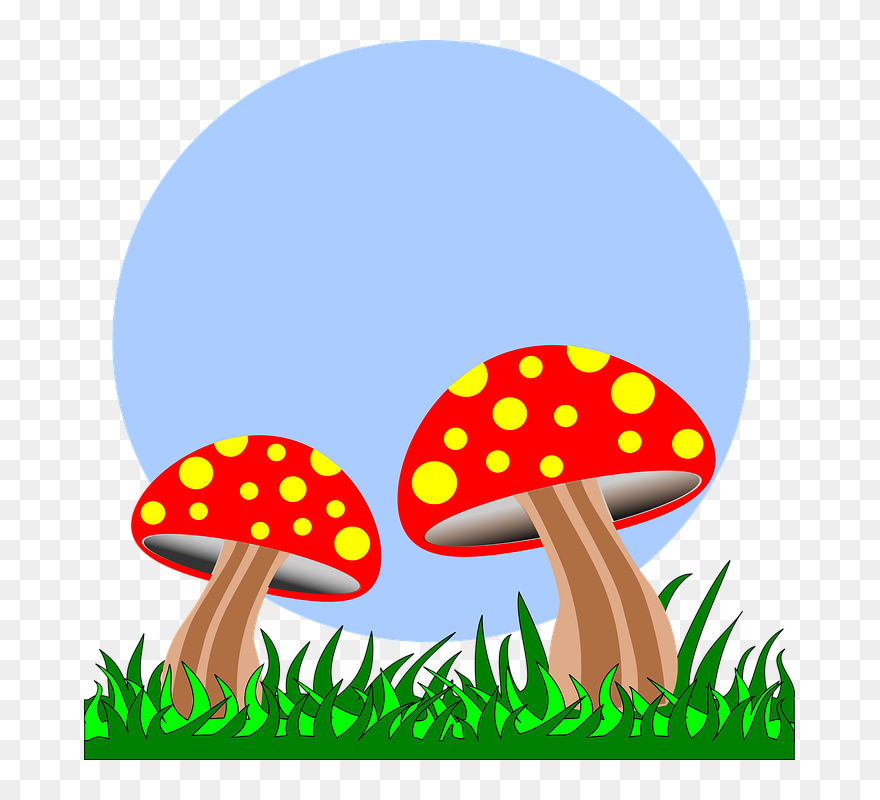 รูป เห็ด นางฟ้า การ์ตูน Clipart