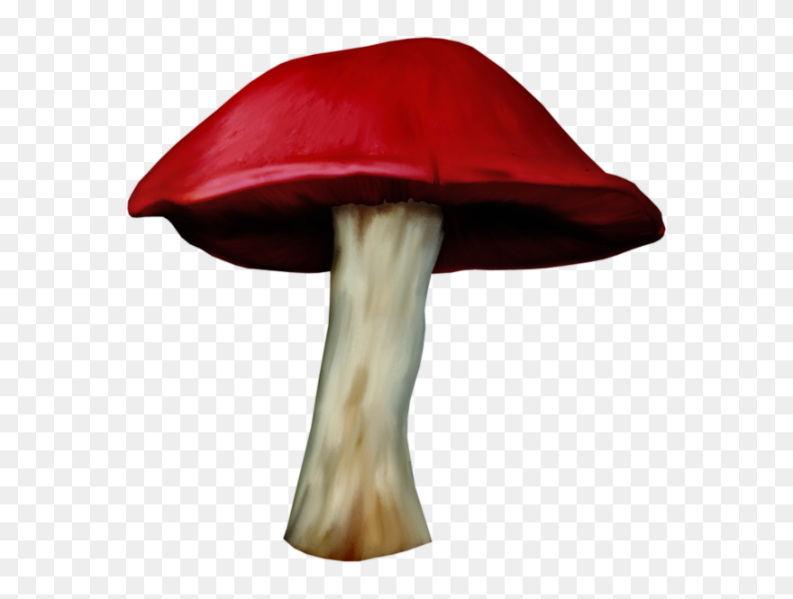 Agaricus Clipart