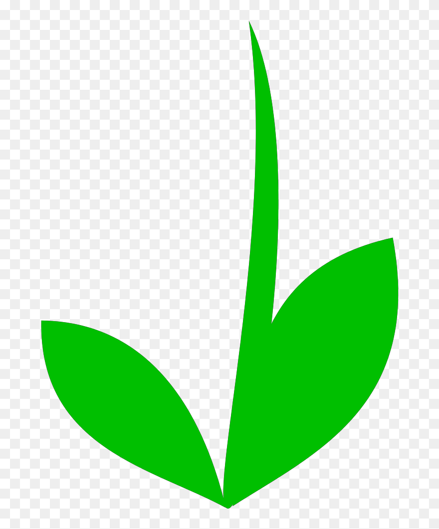 Flower Stem Clipart - Png Download